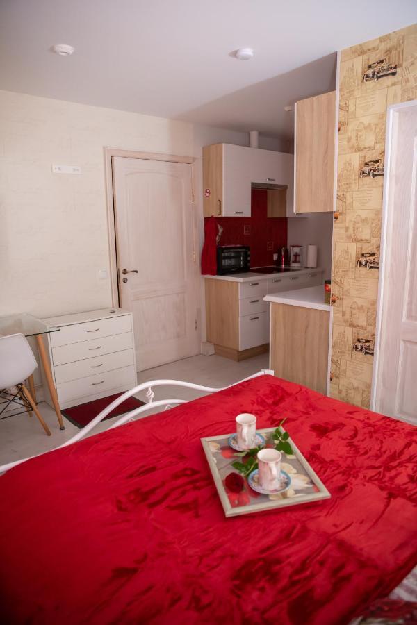 Central Riverside Apartments Jekabpils Exterior photo